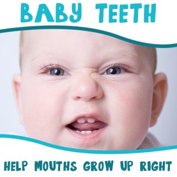 Urbandale dentist, Dr. Stefanie Donnell-Randall at The Dental Loft, discusses the importance of baby teeth in setting the stage for good oral health later in life.