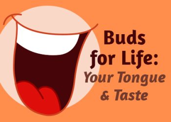Urbandale dentist, Dr. Stefanie Donnell-Randall at The Dental Loft, takes a moment to talk about what’s responsible for your love and dislike of certain foods: taste buds!