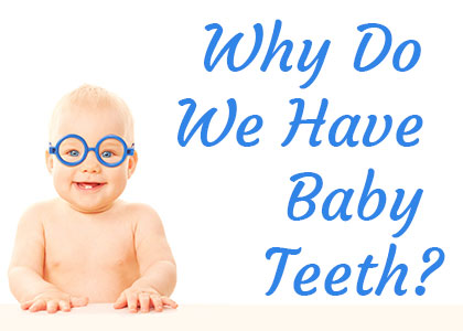 Urbandale dentist, Dr. Stefanie Donnell-Randall at The Dental Loft discusses the reasons why we have baby teeth and the importance of caring for them with pediatric dentistry.